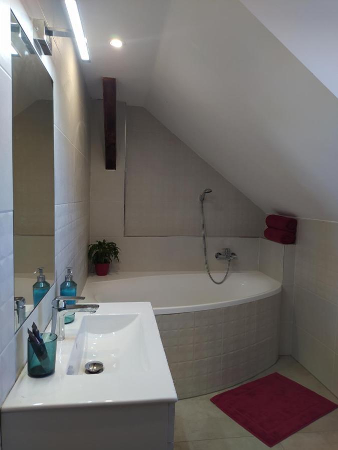 Podkrovni Apartman Pololan U Rybnika Nová Ves Екстериор снимка