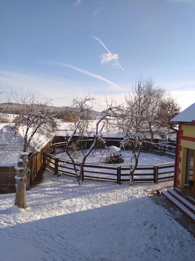 Podkrovni Apartman Pololan U Rybnika Nová Ves Екстериор снимка